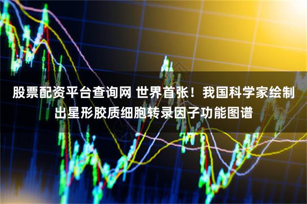 股票配资平台查询网 世界首张！我国科学家绘制出星形胶质细胞转录因子功能图谱
